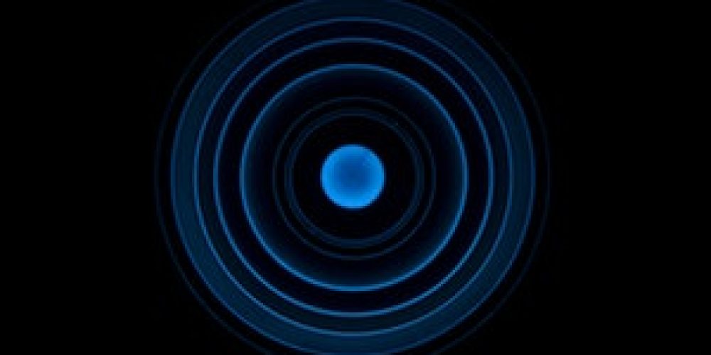 Portfolio Management